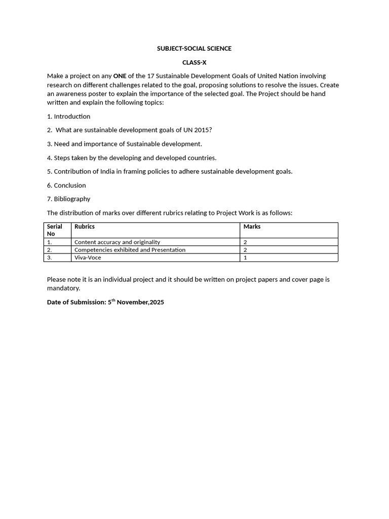 Project SS X | PDF