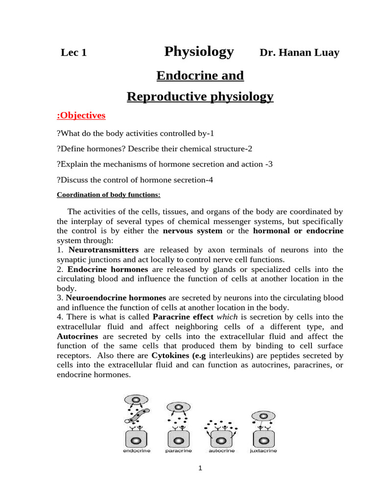 Endocrine and Reproductive Physiology Pitutary Hypothalamus PDF | PDF ...
