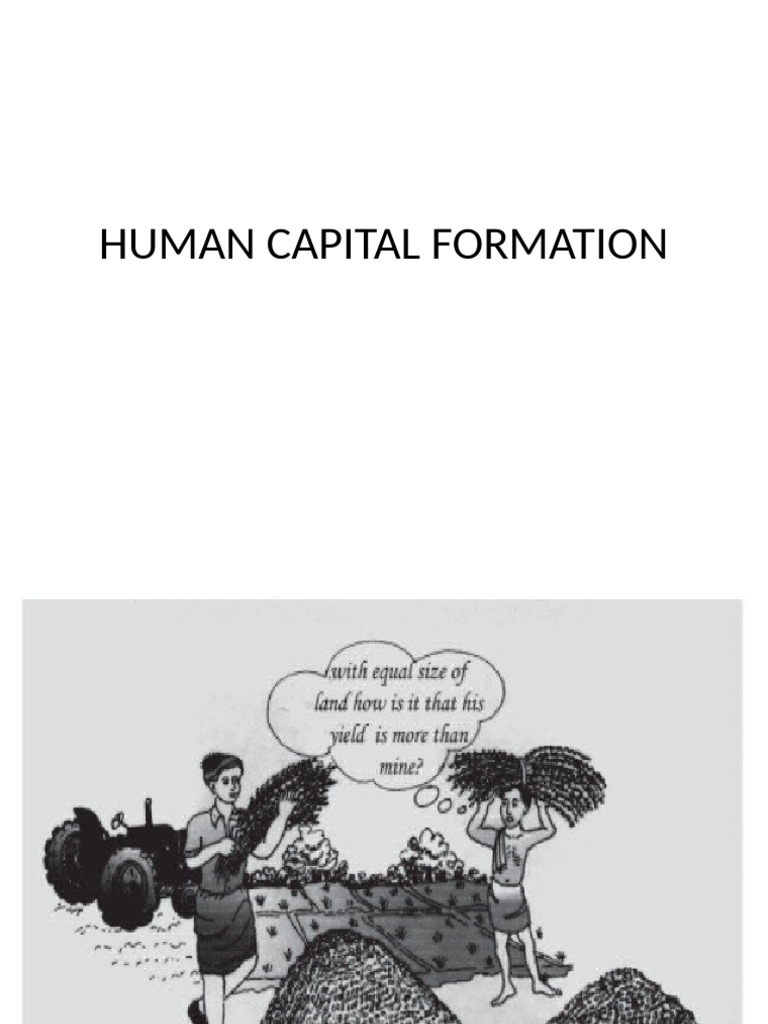 Understanding Human Capital Formation | PDF | Cost Of Living | Human ...