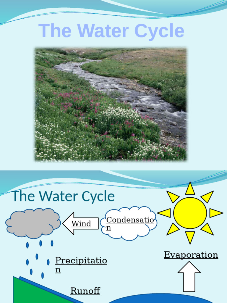 Understanding the Water Cycle Process | PDF
