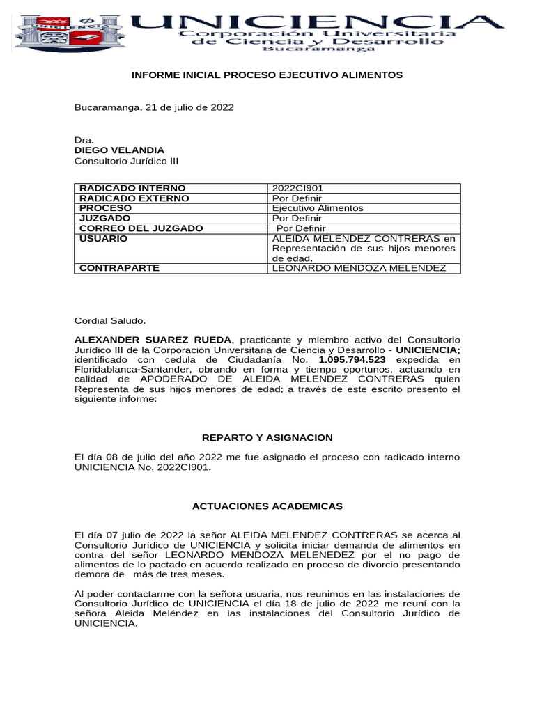 Informe Inicial | PDF