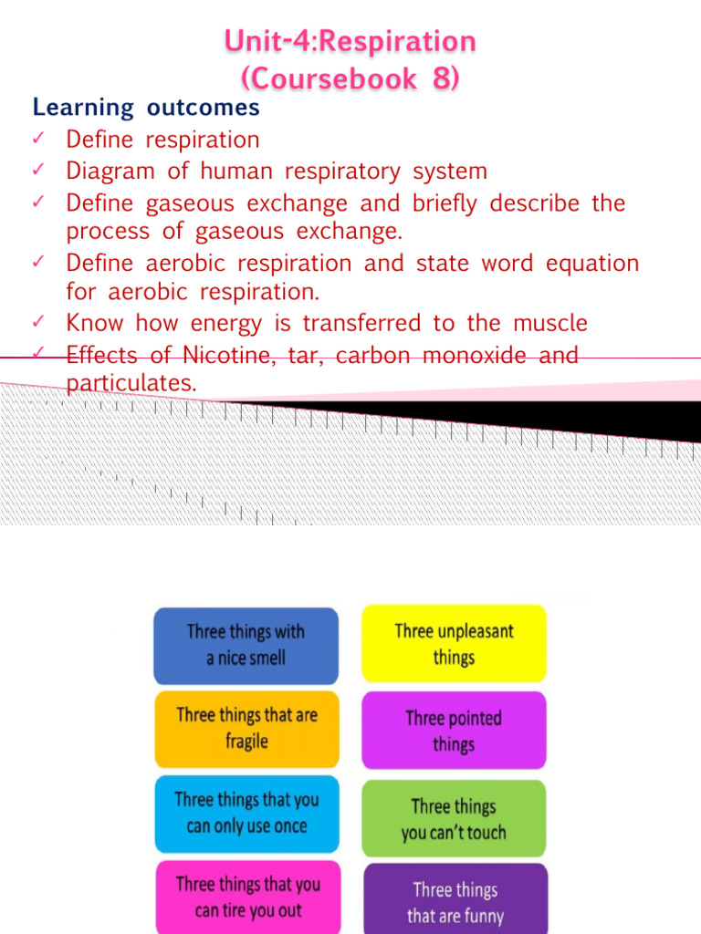 Understanding Human Respiration | PDF