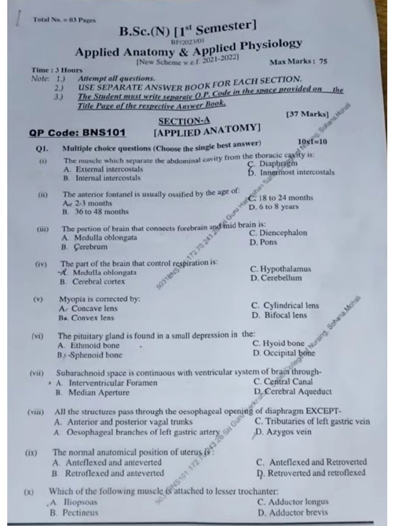 Anatomy Physiology Paper 2 | PDF