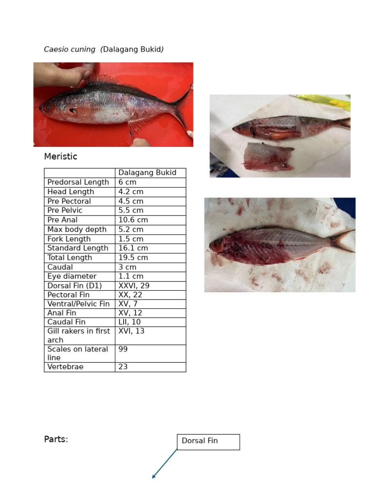 Lab Report (Aquatic) | PDF