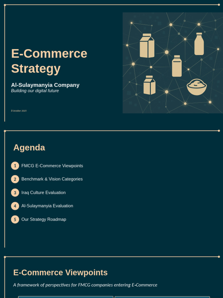 E-Commerce Strategy for FMCG in Iraq | PDF | E Commerce | Retail