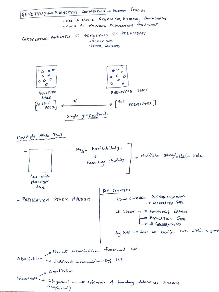 GWAS Handnote - Summer 2025 | PDF