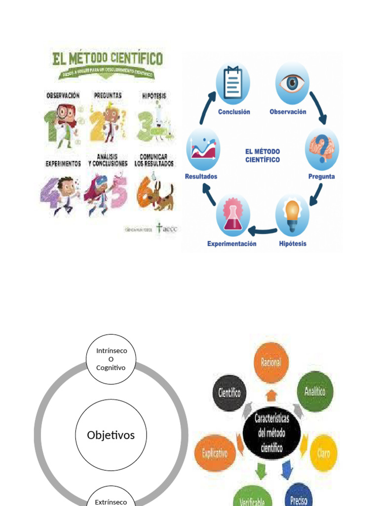 Pasos y objetivos del método científico | PDF | Método científico | Teoría