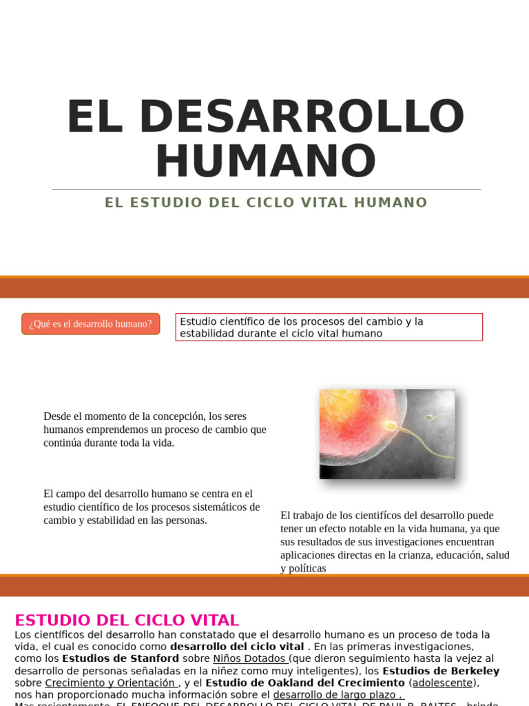 Estudio del Desarrollo Humano y Ciclo Vital | PDF | Adultos | Pensamiento