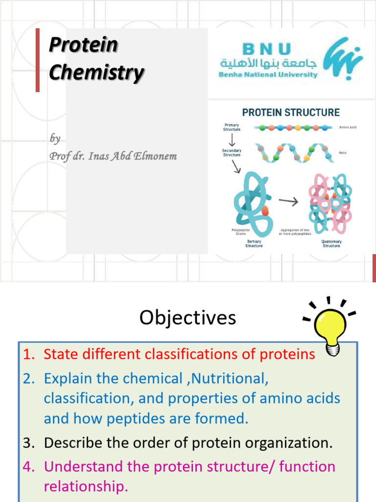 Zein Protein and Nutritional Classifications | PDF | Amino Acid | Proteins