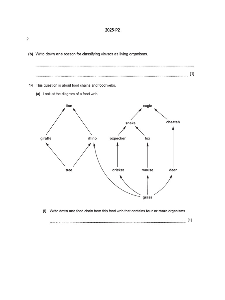 Science Chapter 7 Questions | PDF