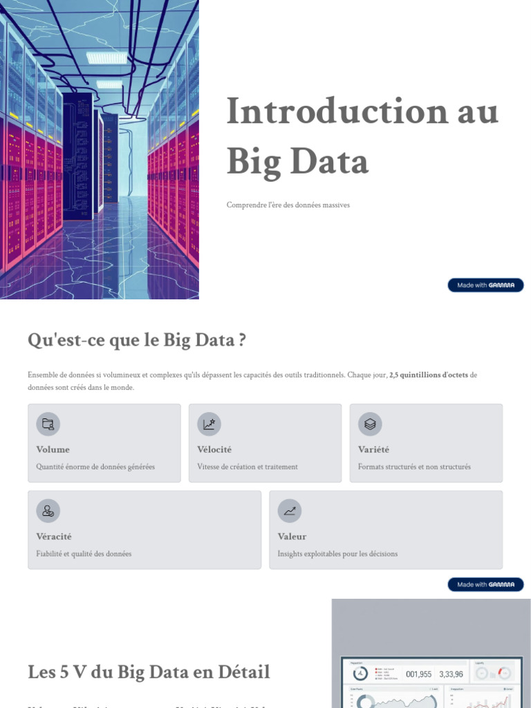 Introduction au Big Data et ses enjeux | PDF | Big data | Apache Hadoop