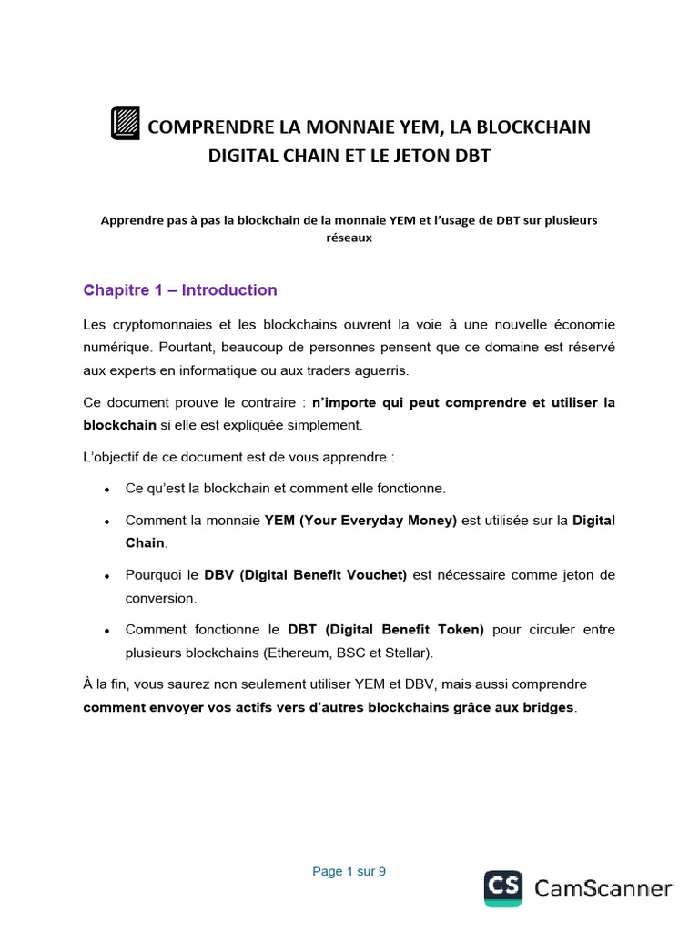 Comprendre la monnaie YEM et DBT | PDF | Crytomonnaies | Bitcoin