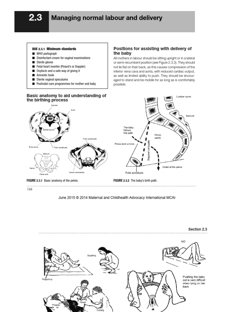 Managing Normal Labour and Delivery | PDF | Childbirth | Human Pregnancy
