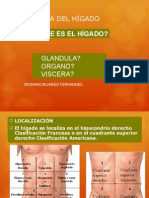 anatomiadelhigado-101030094813-phpapp02