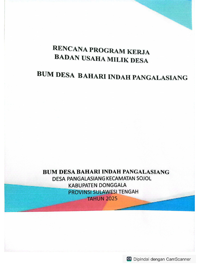 Program Kerja Bum Desa | PDF