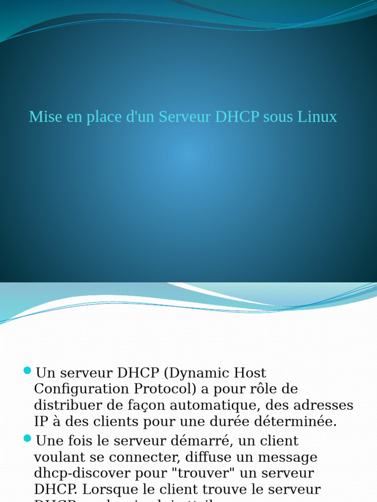 Serveur DHCP sous Linux: Guide d'installation | PDF | l'Internet ...