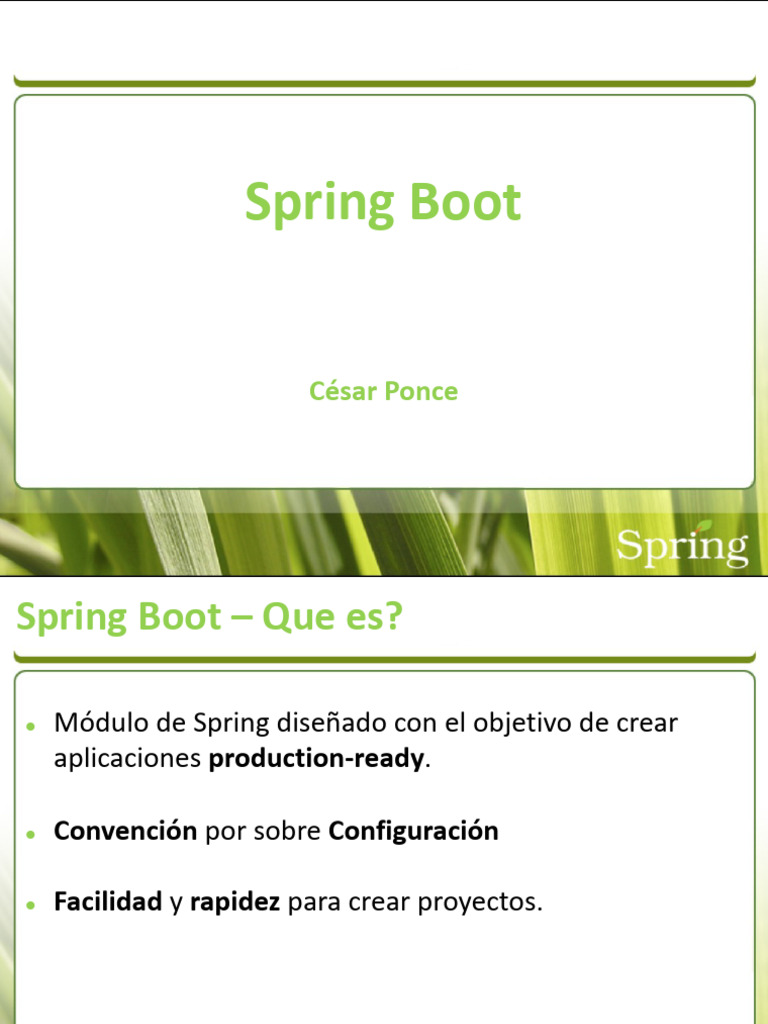 Introducción a Spring Boot y Microservicios | PDF | Programación de ...