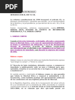 Análisis del Art. 43 de la CN Argentina | PDF | Habeas corpus | Ley común