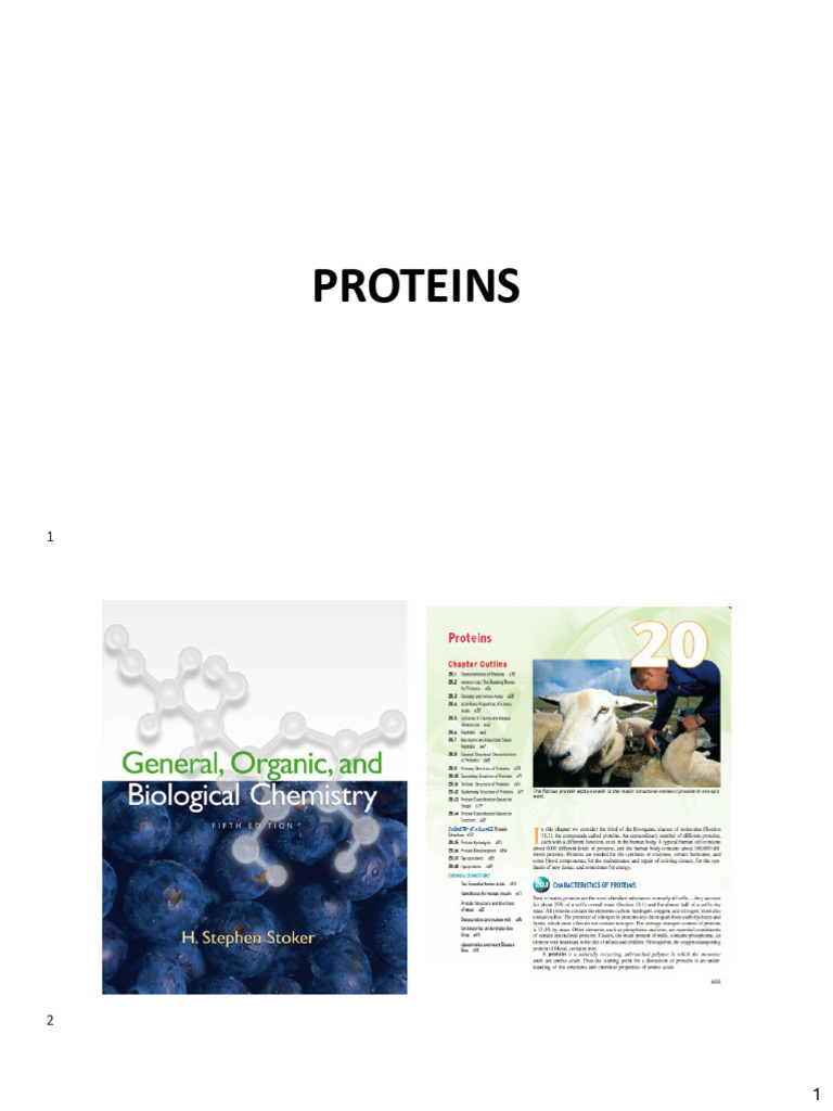Understanding Protein Structures and Functions | PDF | Proteins ...