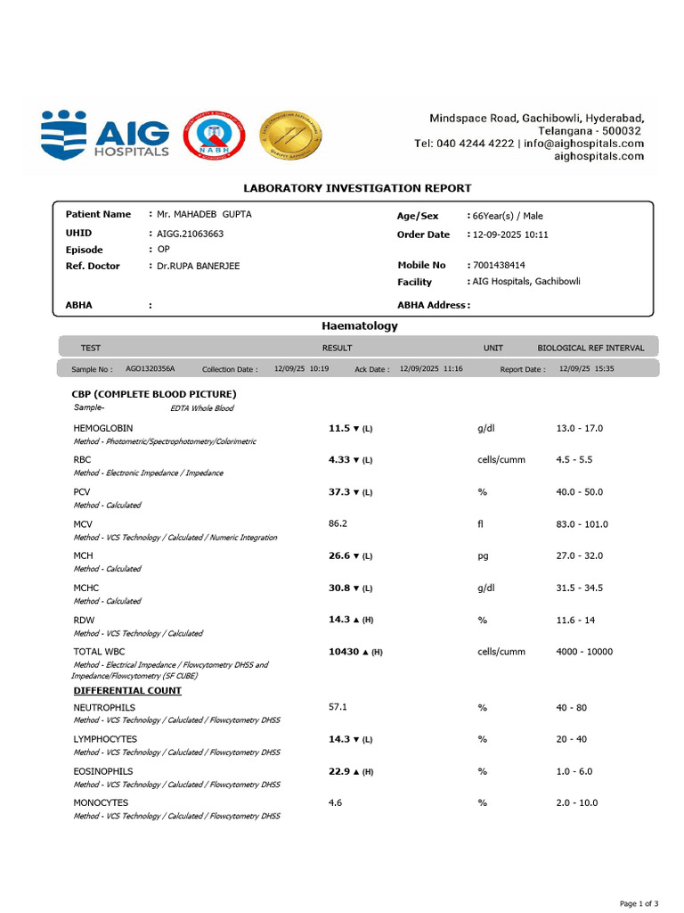Complete Blood Picture Report for Mr. Gupta | PDF | White Blood Cell ...