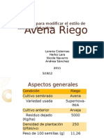 Presentacion Avena