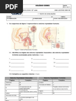 1º Teste de Avaliação