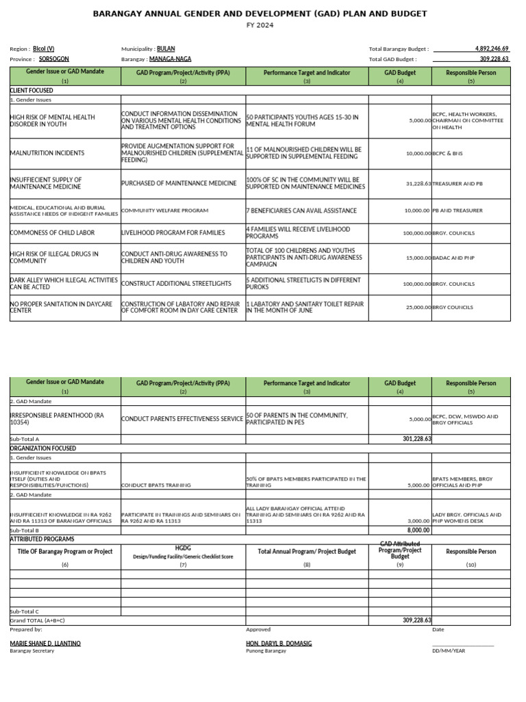Barangay GAD Plan and Budget FY 2024 | PDF | Malnutrition | Public Toilet