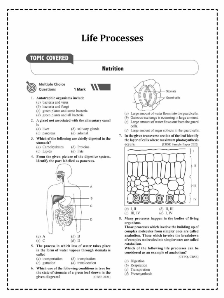 Chapter 5 | PDF