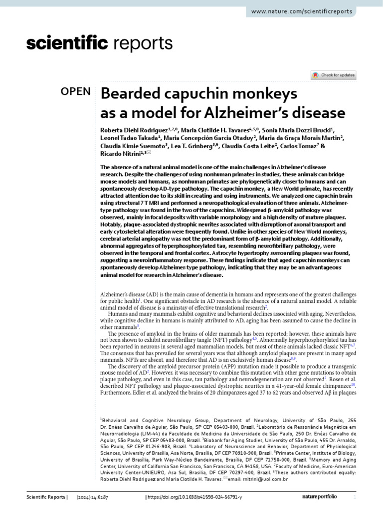 Capuchin Monkeys as Alzheimer's Model | PDF | Cerebral Cortex ...