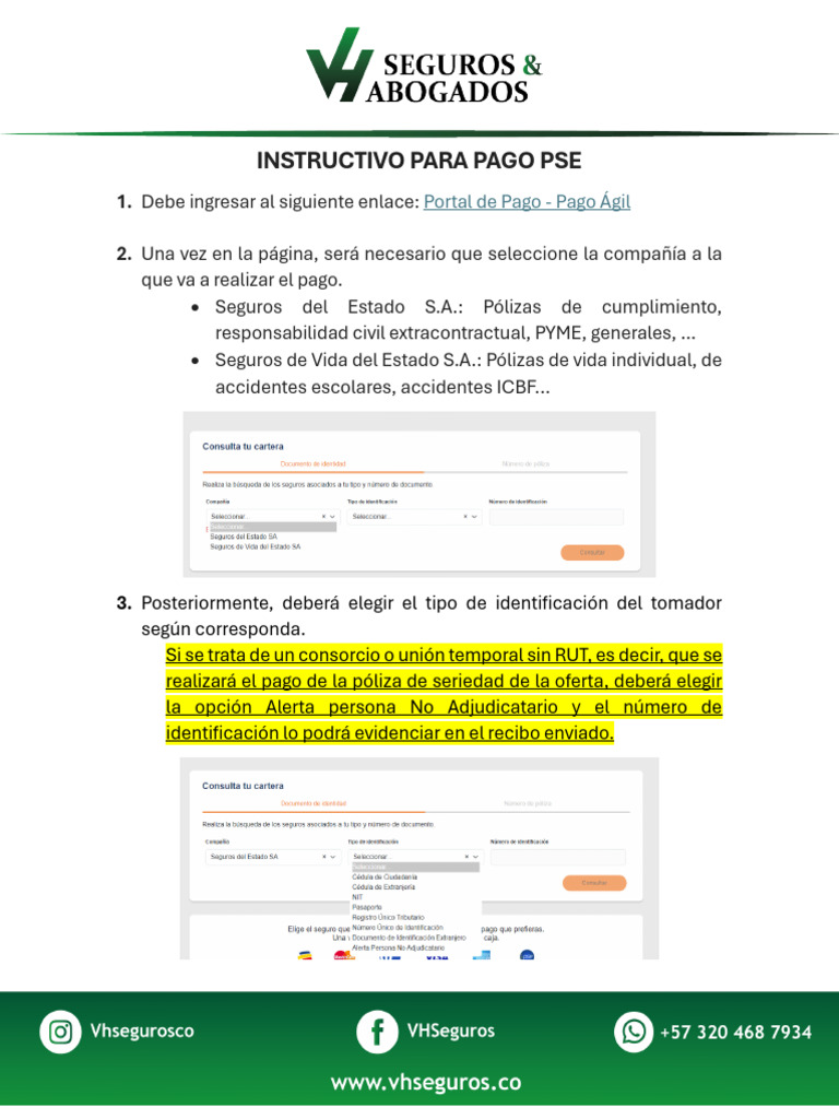 Estado - Instructivo para Pago en Línea | PDF