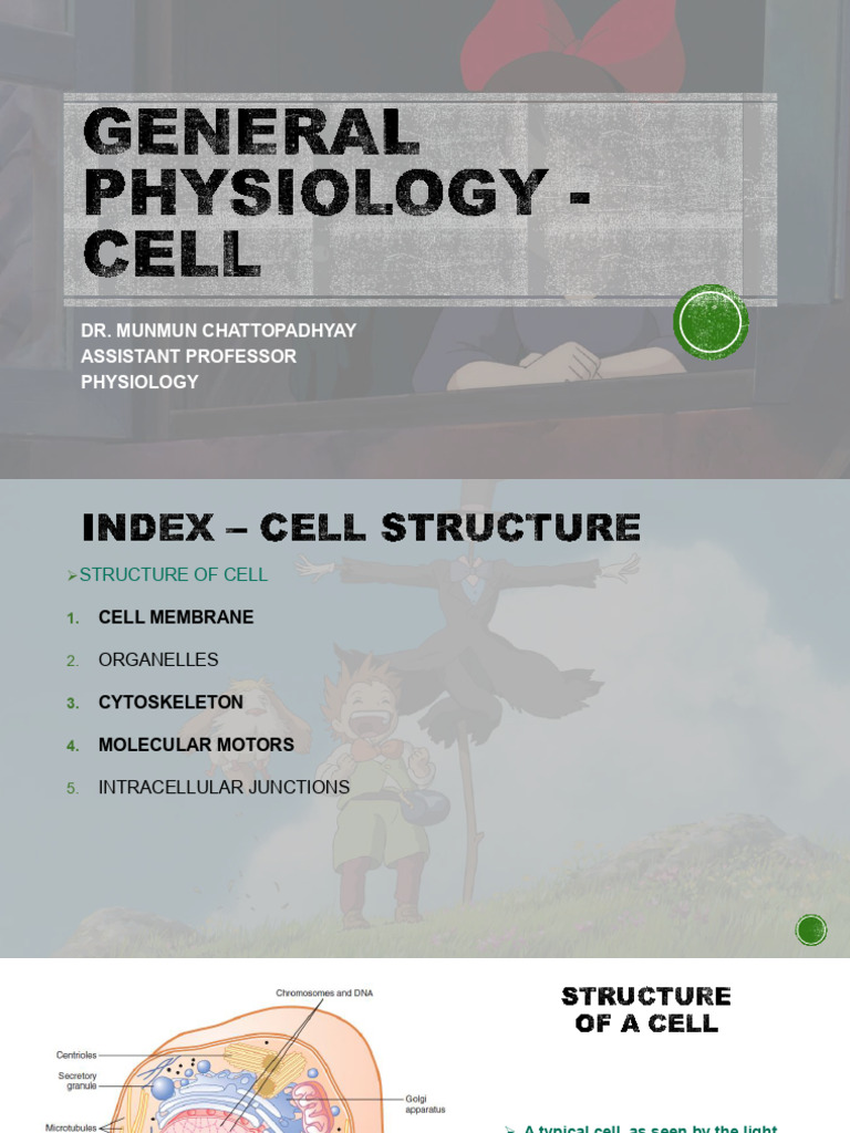 Cell Structure and Function Overview | PDF | Endoplasmic Reticulum ...