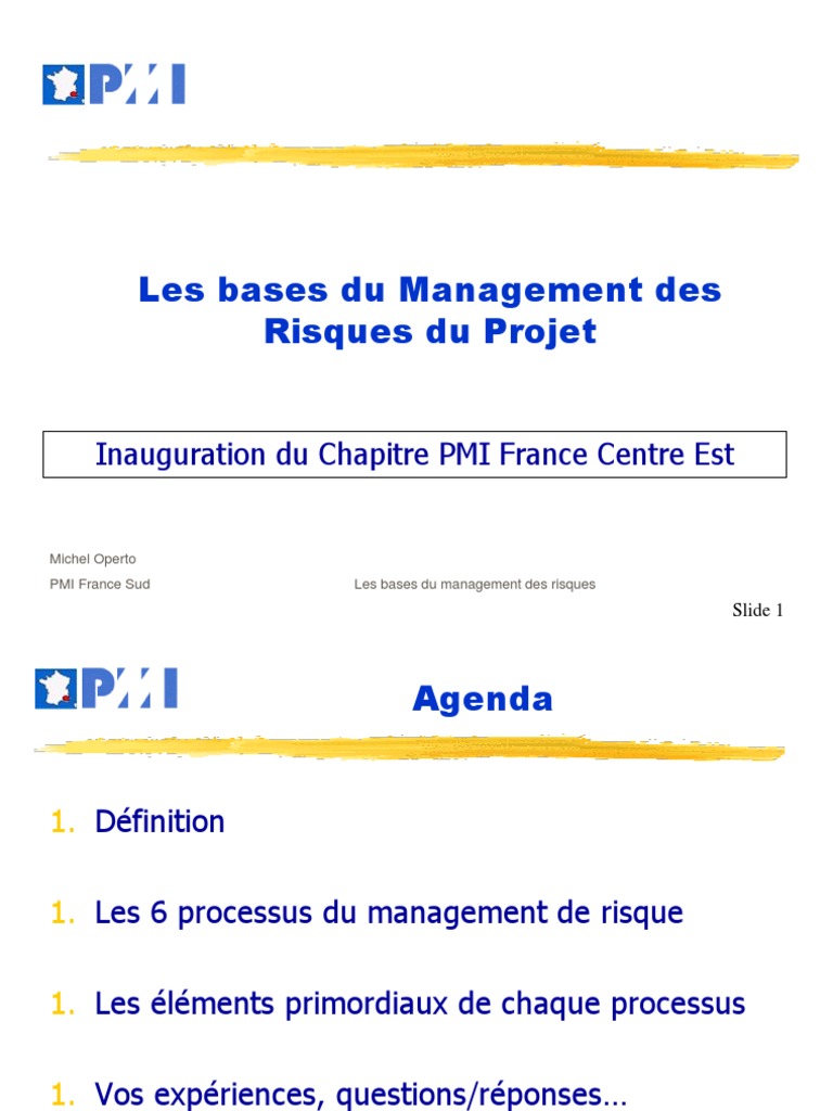 Management Des Risques Du Projet Pmi Centre Est | PDF | Gestion des ...