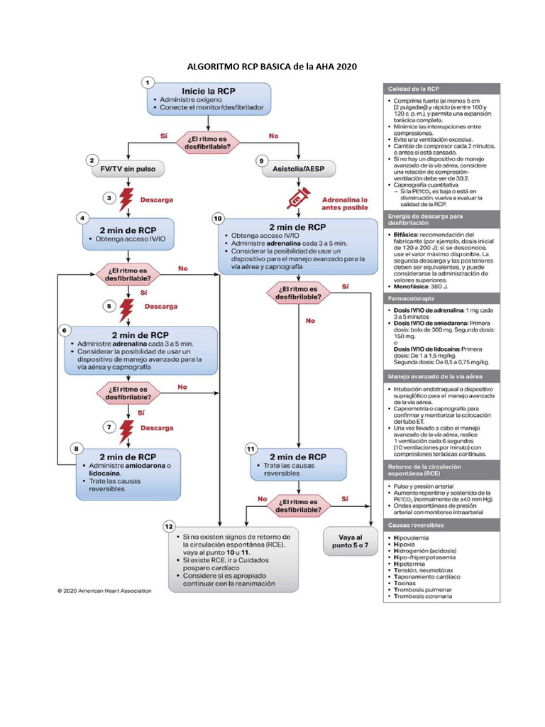 Algoritmo RCP AHA 2020: Actualizaciones Clave | PDF