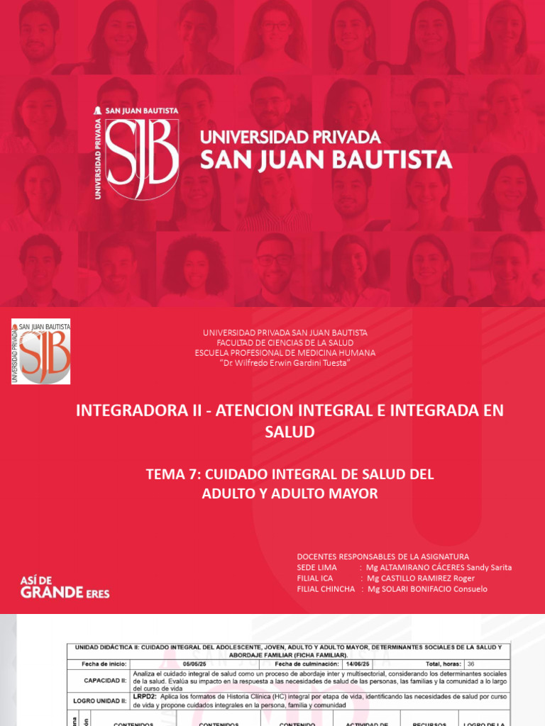 Sem 7 Teoria 7 Cuidado Integral Salud Del Adulto y Adulto Mayor | PDF ...