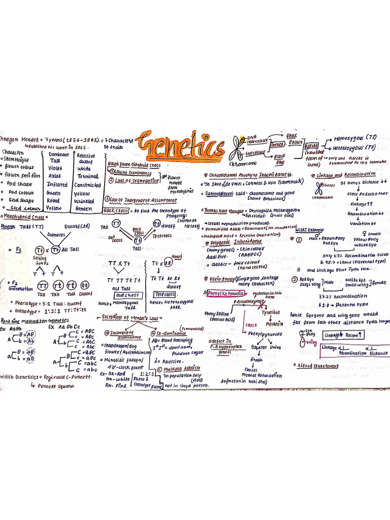 Genetics Short Notess | PDF