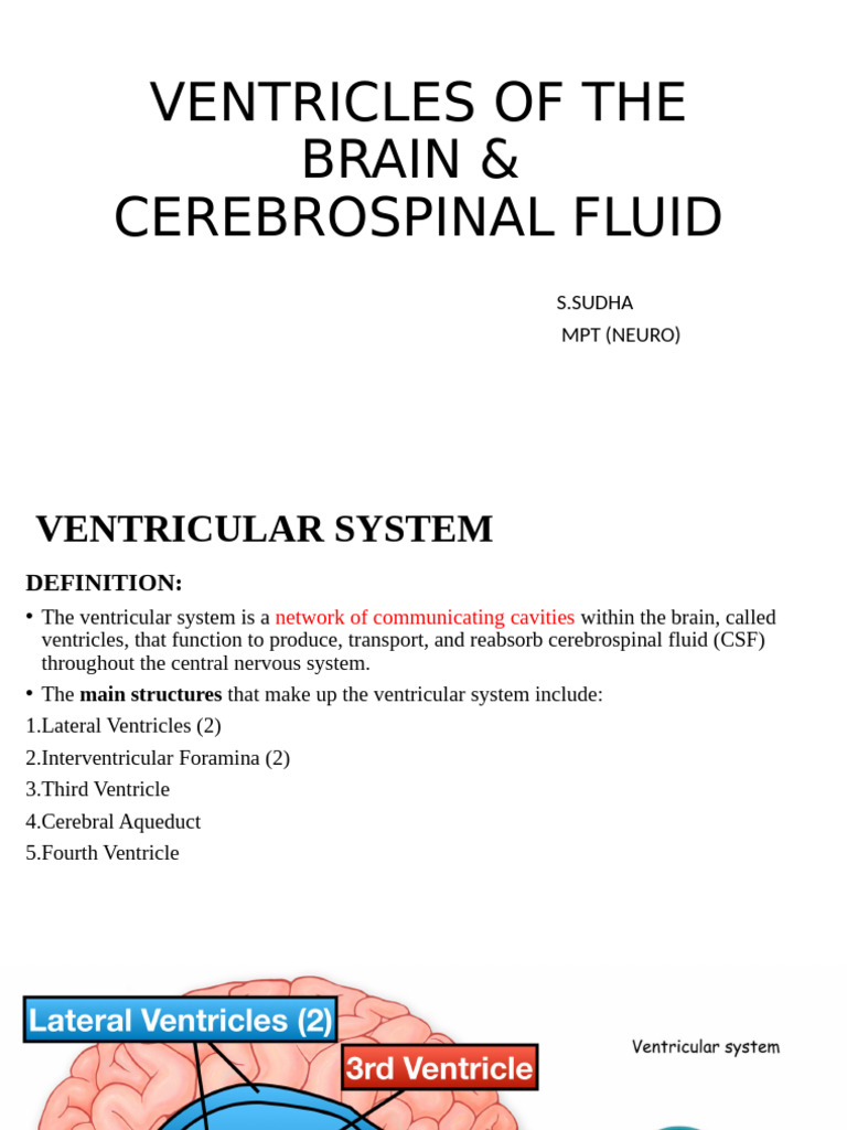 Anatomy and Function of Brain Ventricles | PDF | Cerebrospinal Fluid ...