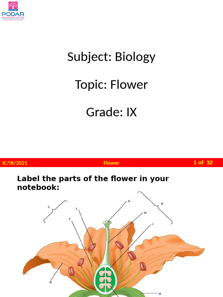 Structure and Types of Flowers | PDF | Flowers | Petal