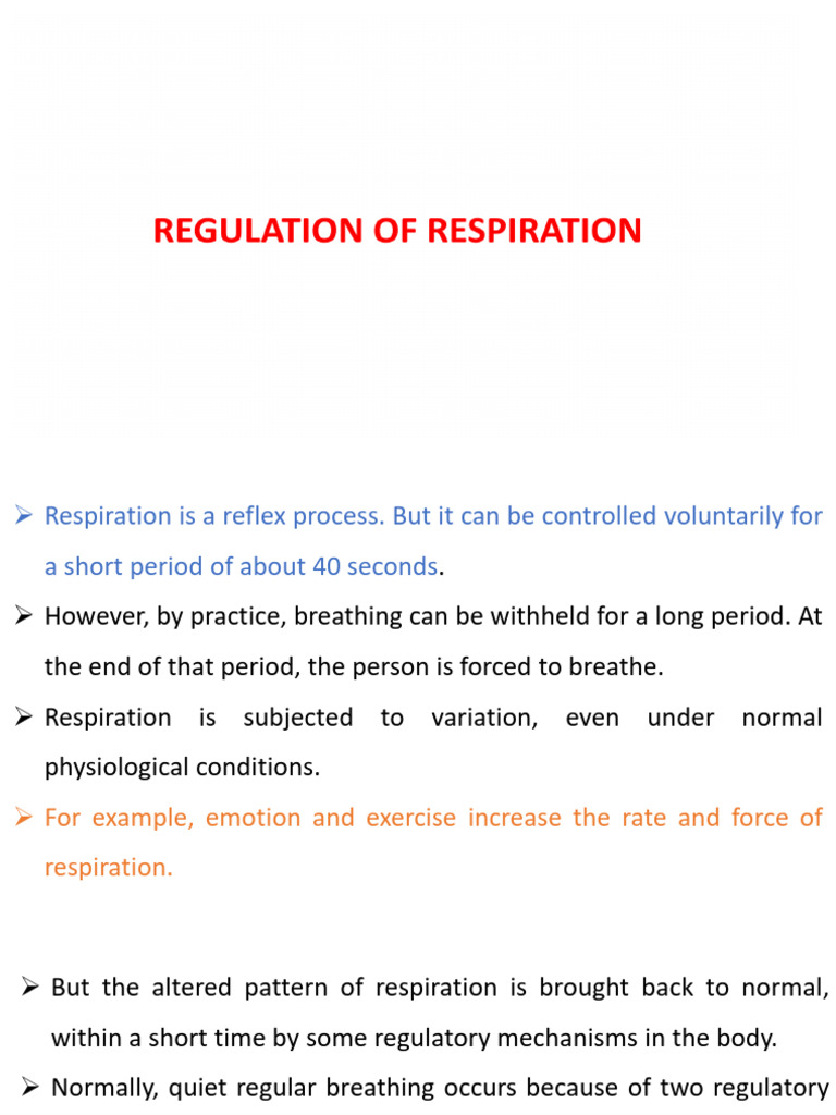 Nervous Regulation of Respiration | PDF | Physiology