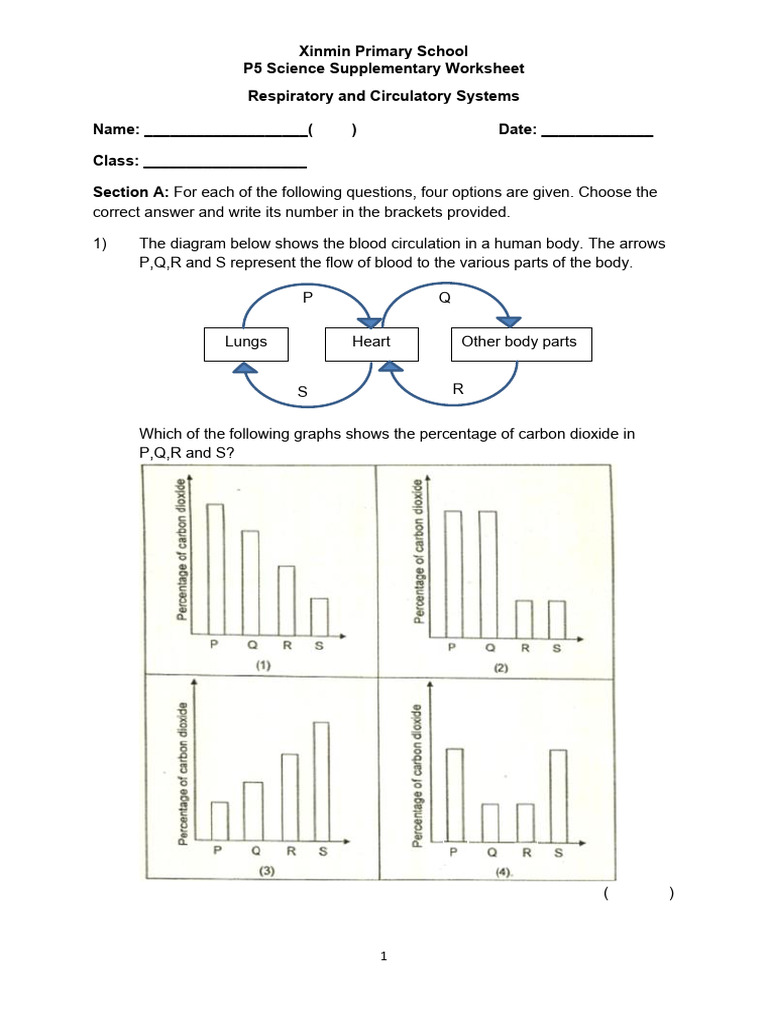 P5 - Circulatory - Respiratory - System - Supplementary WS - Update ...