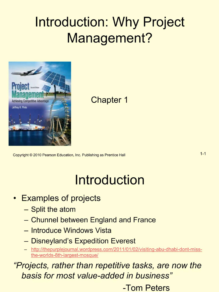 Understanding Project Management Basics | PDF | Project Management ...