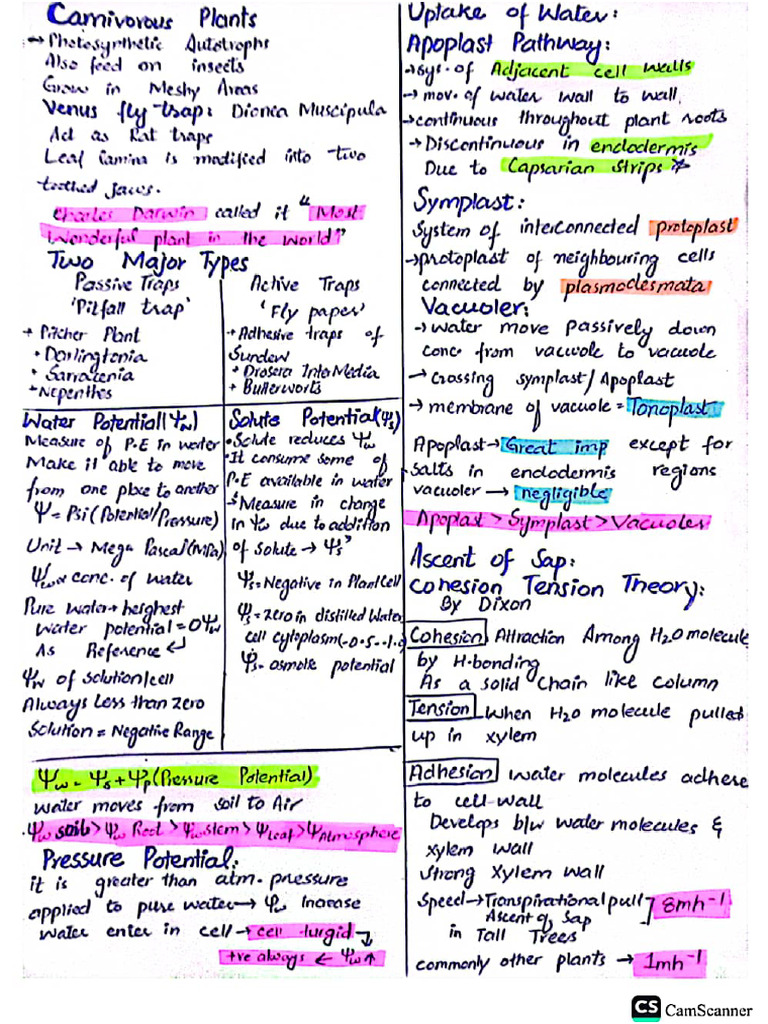 Plants | PDF