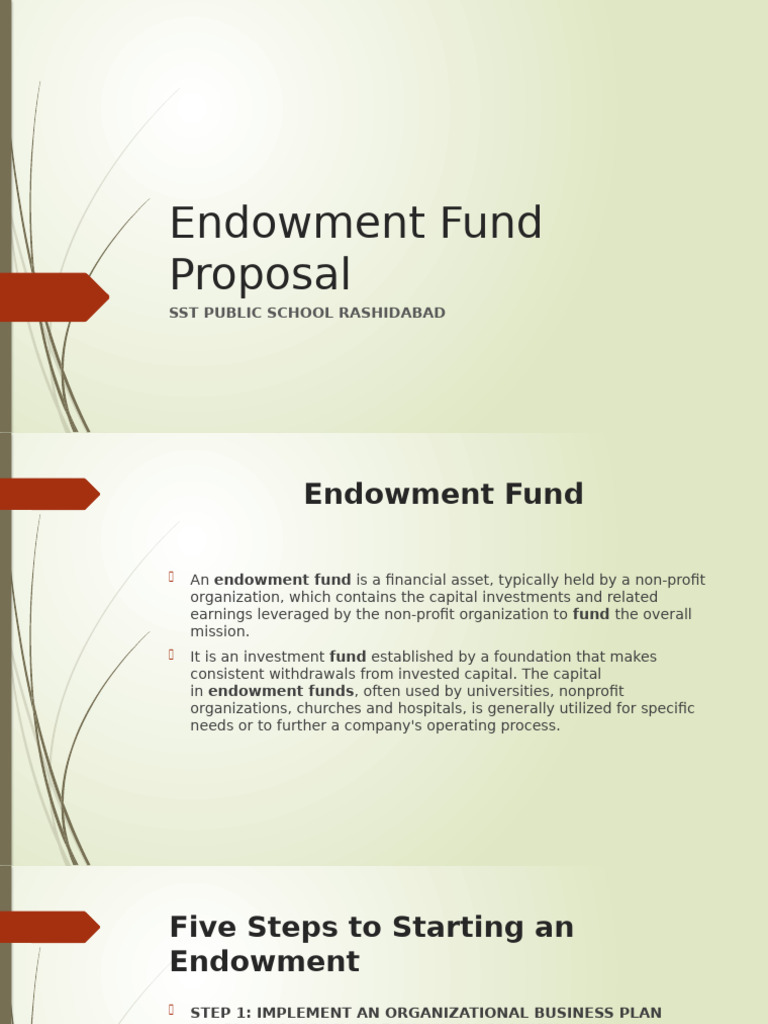 Endowment Fund Proposal Overview | PDF | Fundraising | Financial Endowment
