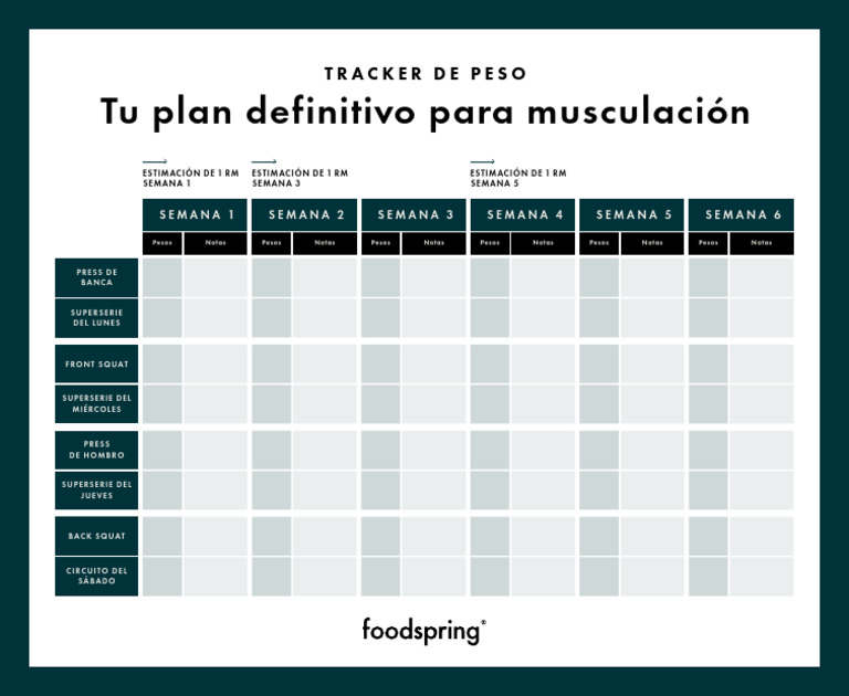 Muscle Building Exercise Tracker ES | PDF