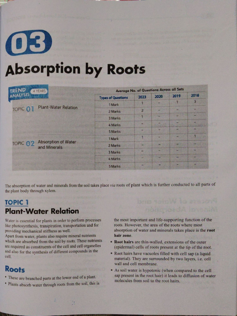 Absorbtion by Roots | PDF