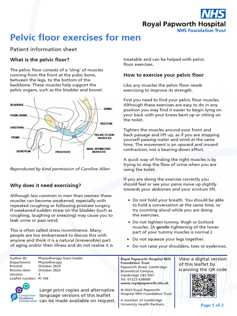 PI 104 Pelvic Floor Exercise For Men Vs3 | PDF