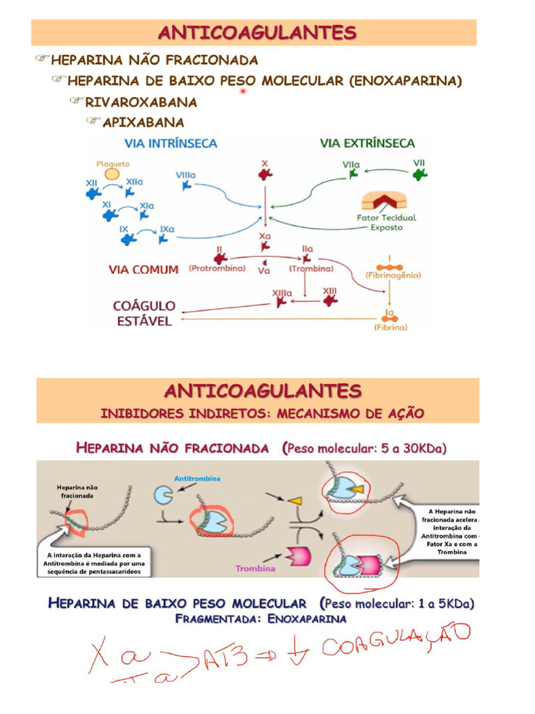 Heparin A | PDF