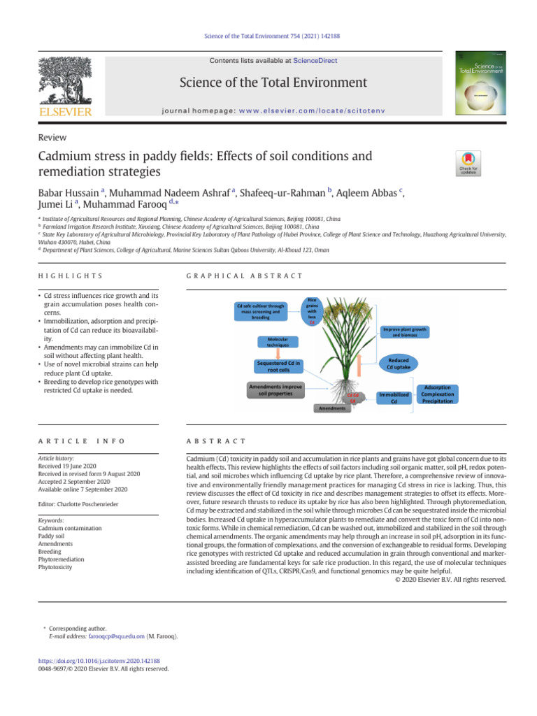 Cadmium Stress in Paddy Fields. Effects of Soil Conditions and | PDF ...