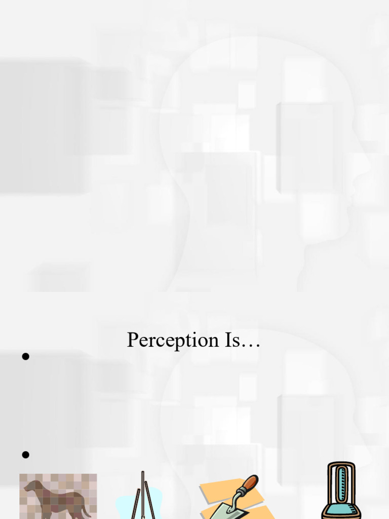 Chapter 3: Perception | PDF | Perception | Cognition
