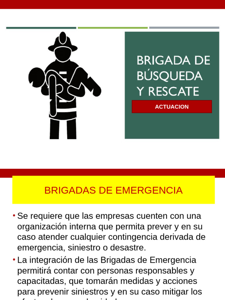 Curso Plan de Emergencia Brigadas Busqueda y Rescate | PDF | Combustión ...