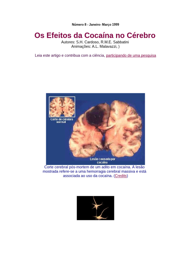 Efeitos da Cocaína no Cérebro e Saúde | PDF | Cocaína | Sinapse